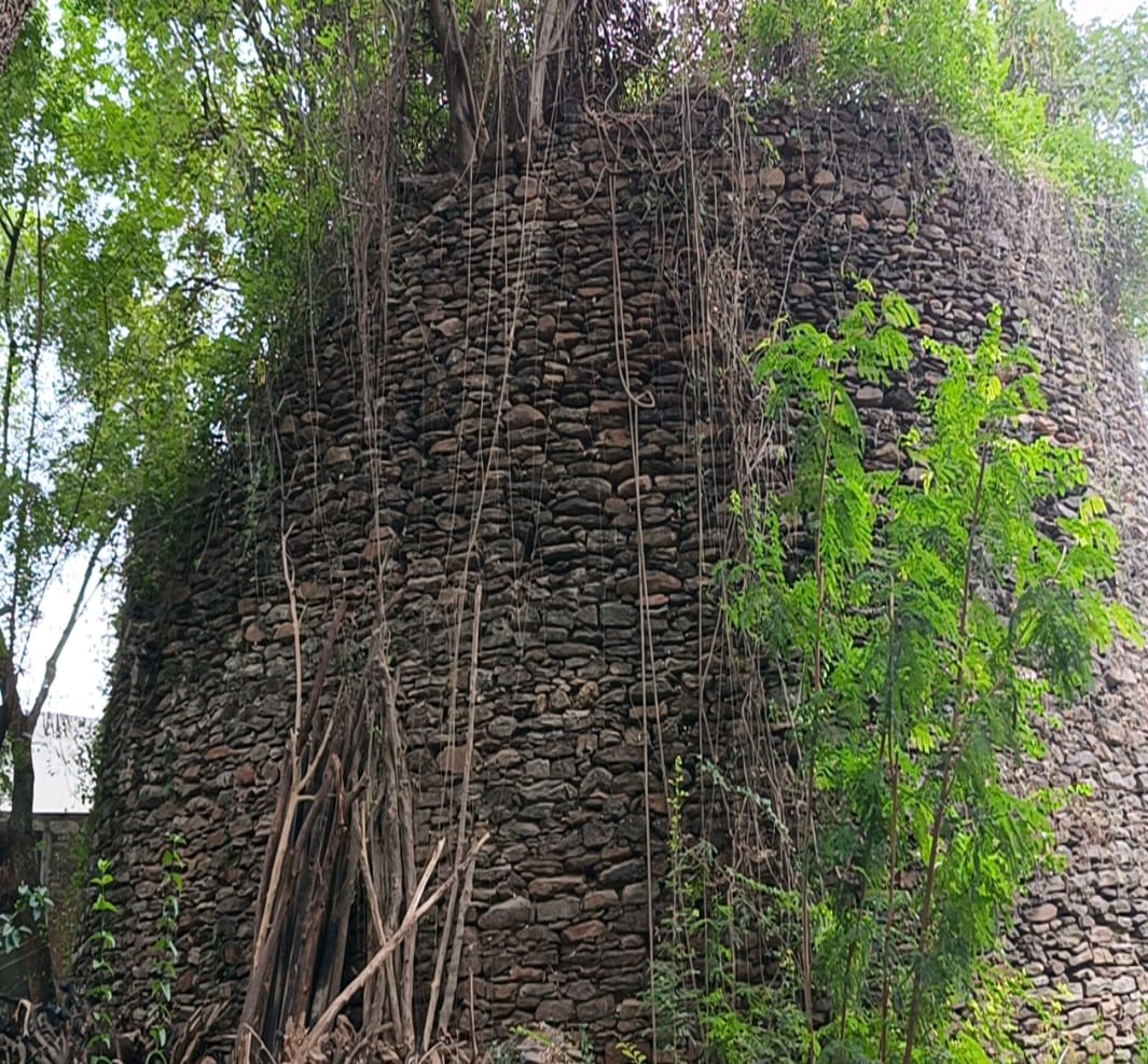 IMG-20231122-WA0272