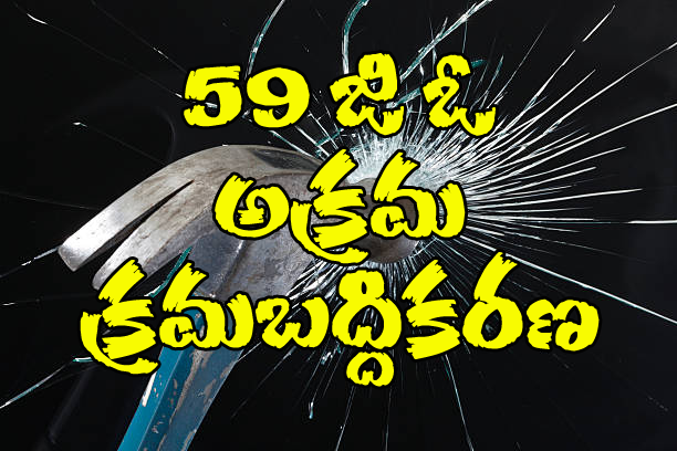 59 go copy