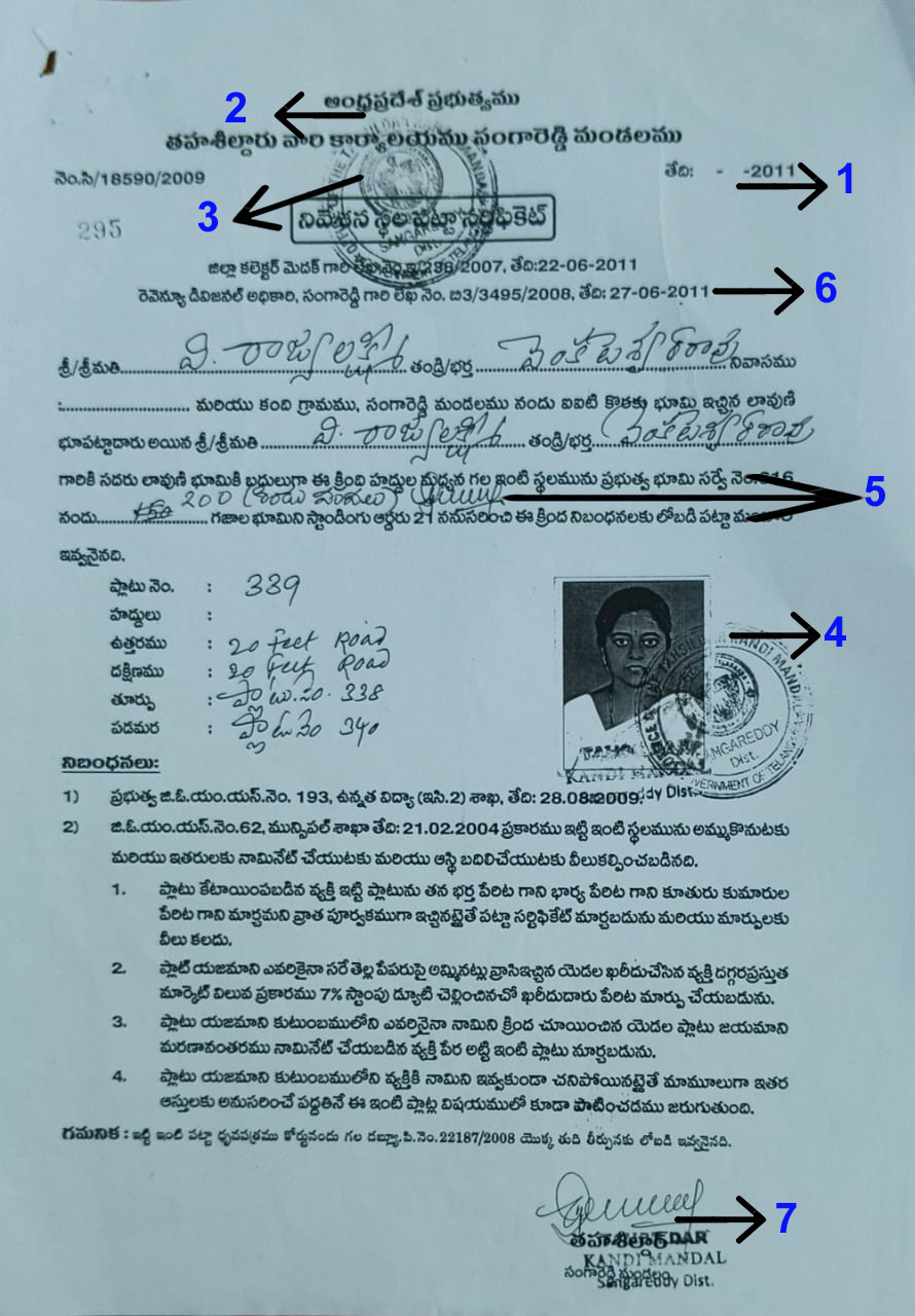P rajalakshmi patta paper-Points