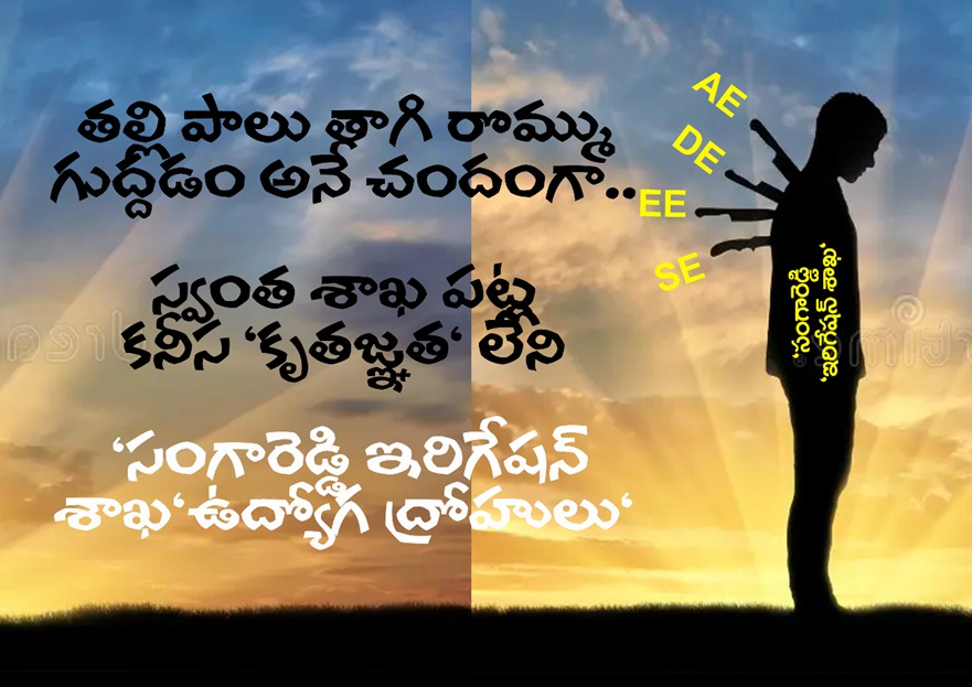 WhatsApp Image 2025-07-06 at 5.33.20 PM