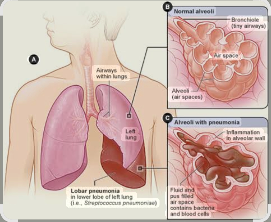 Screenshot_2025-11-11-20-52-56-50_680d03679600f7af0b4c700c6b270fe7