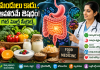 మందులు కాదు.. ఆహారమే ఔషధం! గట్ హెల్త్ బాగుంటే సగం వ్యాధులు దూరం