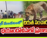 వేల్పూగొండ గ్రామం బోల్లికుంటలో పులి సంచారం