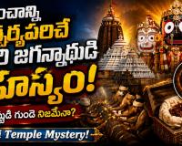 ఏపీలో తప్పక దర్శించాల్సిన టాప్ 10 అద్భుత దేవాలయాలు.. ప్రతి హిందువు జీవితంలో ఒక్కసారైనా వెళ్లాల్సిన పవిత్ర క్షేత్రాలు!